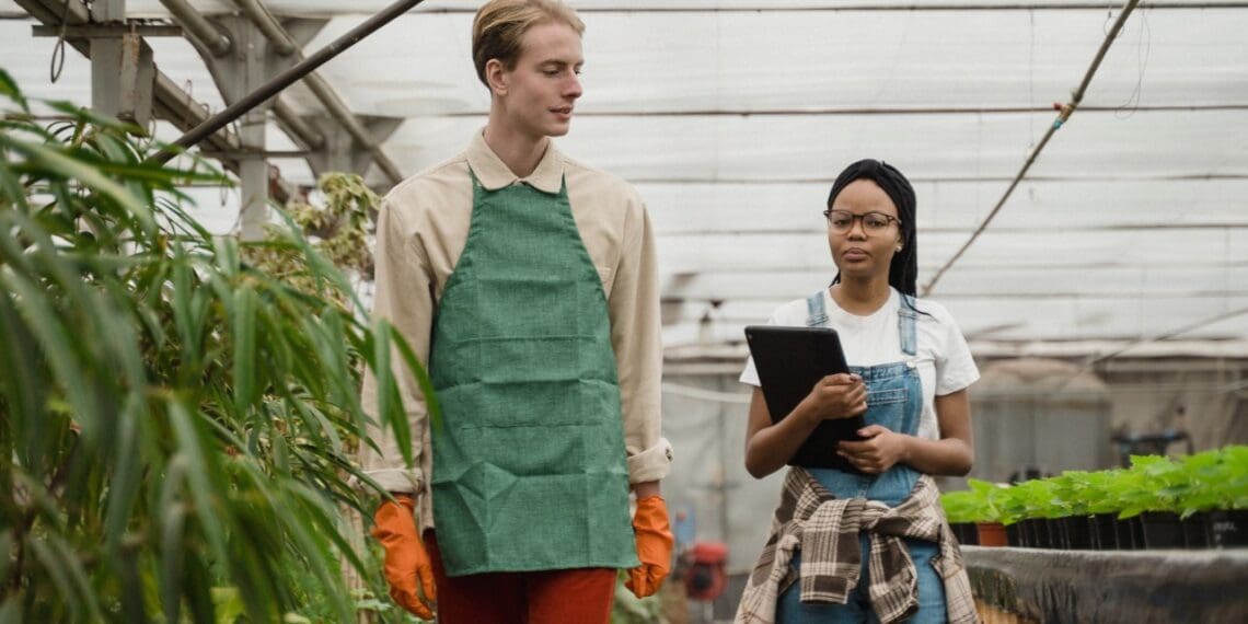 Agricareers: Here are five of SA's hottest jobs