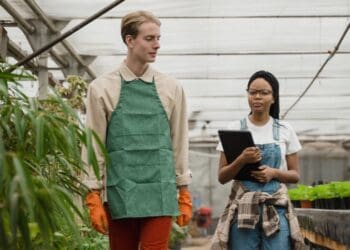 Agricareers: Here are five of SA's hottest jobs
