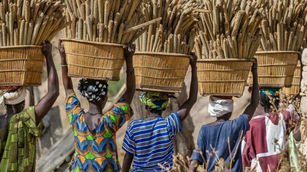 Climate change: Why agri investments matter now more than ever