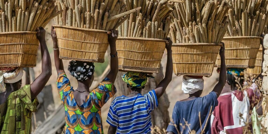 The women at the forefront of rural agriculture fear they are on their own when it comes to climate change. Photo: Supplied/sap.com