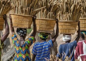 The women at the forefront of rural agriculture fear they are on their own when it comes to climate change. Photo: Supplied/sap.com
