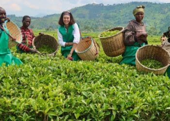 ‘Agritourism can revive rural communities’