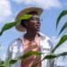 Agropreneurship: Agropreneurs and respective agribusinesses should find the elusive and tricky balance between risk and innovation. Photo: Supplied/Food For Mzansi