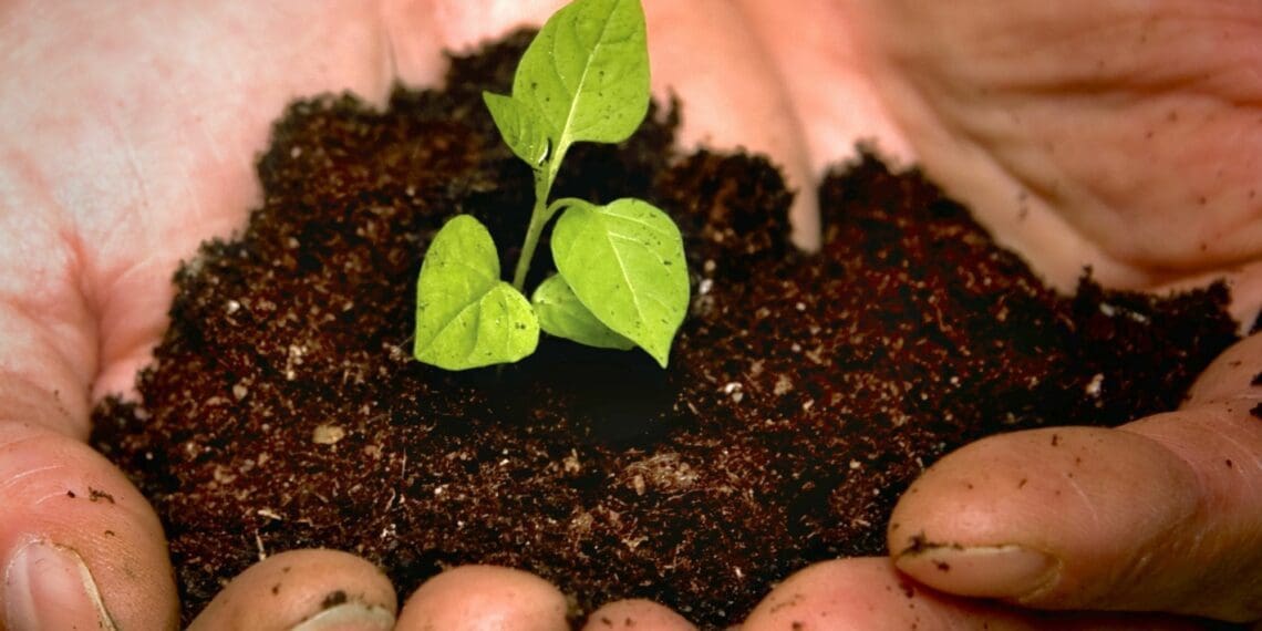 Post-settlement support key to ride agri wave