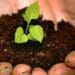 Post-settlement support key to ride agri wave