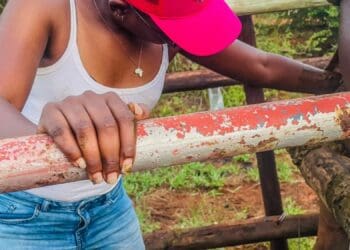 Communal land in South Africa is mostly rural territory owned by the government and administered through a tribal authority. Pictured is North West farmer Mmadipilo Letlape. Photo: Supplied/Food For Mzansi
