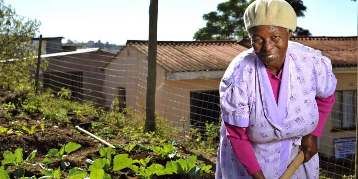 Uhlelo lokweseka ogogo e-Valley of a Thousand Hills lufukula izaguga ezingaphezu kuka-500 ngezingadi zomphakathi