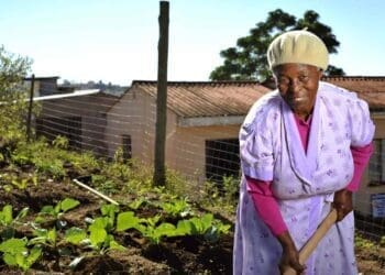 Uhlelo lokweseka ogogo e-Valley of a Thousand Hills lufukula izaguga ezingaphezu kuka-500 ngezingadi zomphakathi