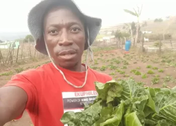 Ngemva kokulahlekelwa wumsebenzi uMnuz Zethembe Shezi ngenkathi kuvalwe izwe, waqala watshala ukudla akudayisela abantu bendawo eMkhomazi, KwaZulu-Natali. Isithombe: Sithunyelwe/Food For Mzansi