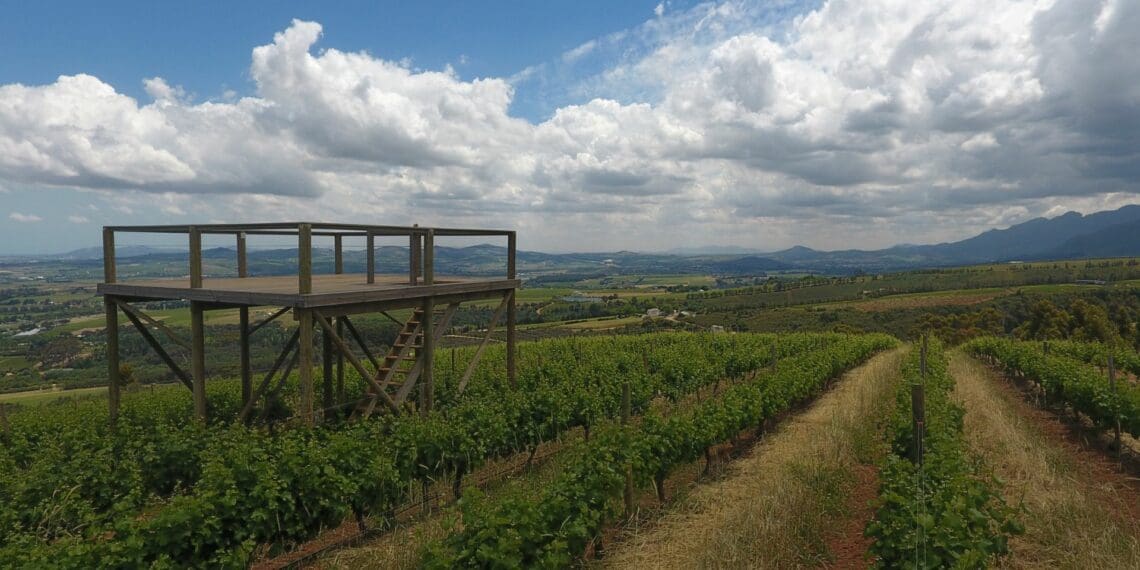 IN PICTURES: Spier chooses regenerative route