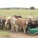 Farm safety: Cele's crime stats are 'out of touch'