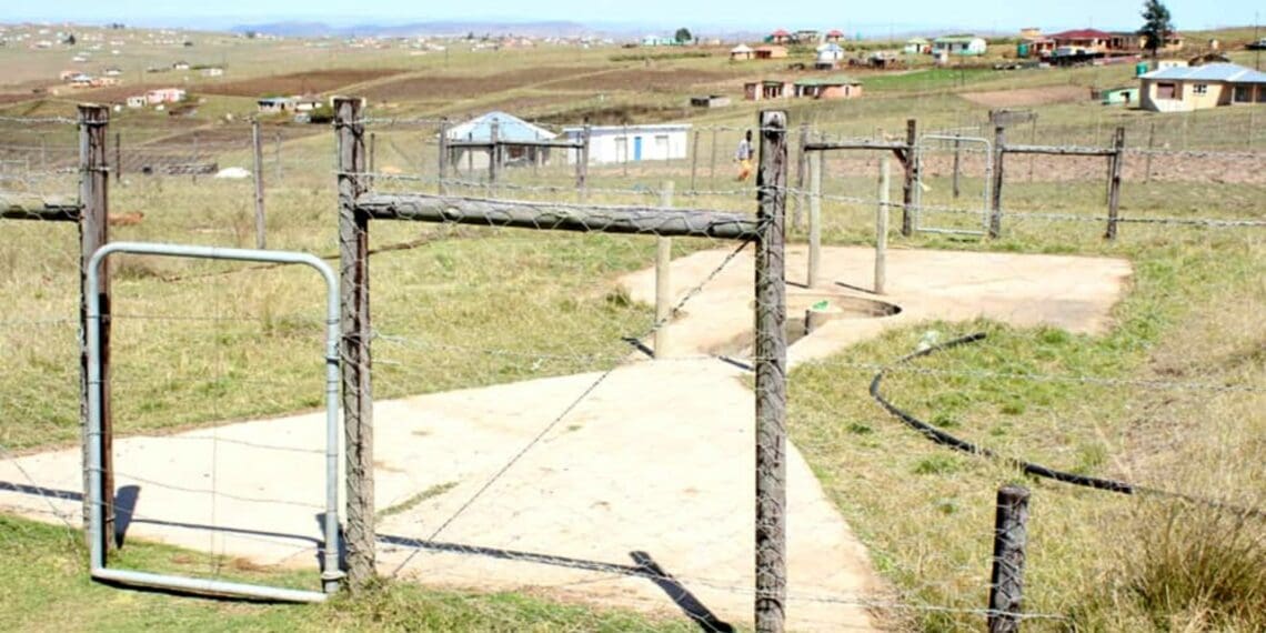 KZN's traditional leaders chase agri growth
