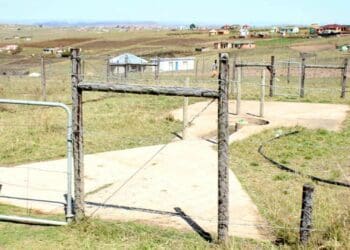 KZN's traditional leaders chase agri growth