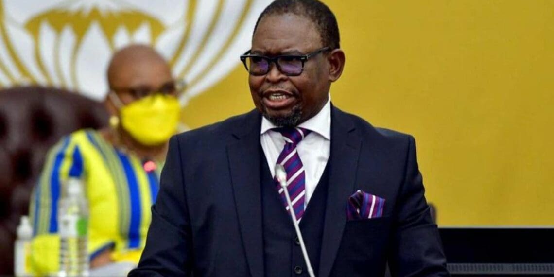 Finance minister Enoch Godongwana had some good news in store for Mzansi's agricultural sector in his budget speech today. Photo: Supplied/Food For Mzansi