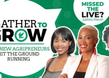 Farmer 101: Women agripreneurs find solutions