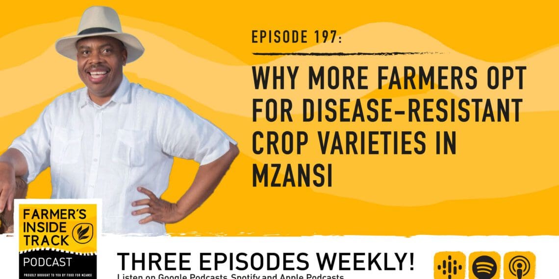 Podcast: Why biotech crops make life easier