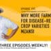 Podcast: Why biotech crops make life easier