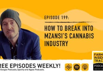Podcast: How to break into the cannabis industry