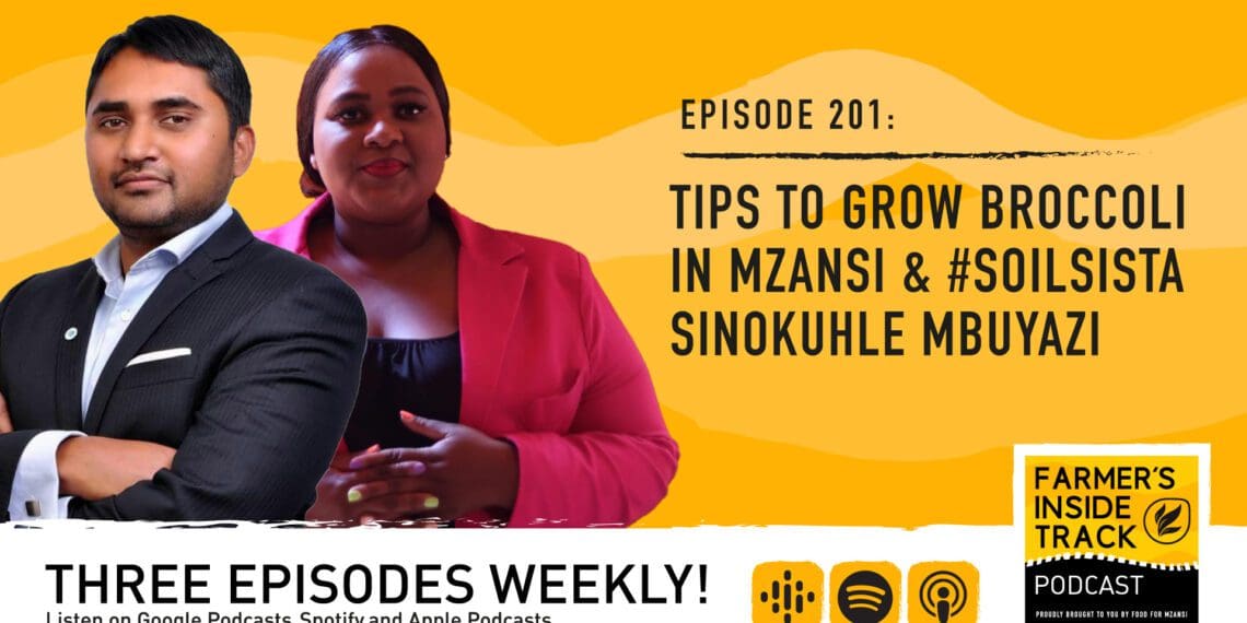 Broccoli is said to be one of the most nutritious vegetables and this week we chatted with farmer, Yasas Jayakody, the operations director at Elysian Fields. We also feature #SoilSista Sinokuhle Mbuyazi. Photo: Food For Mzansi