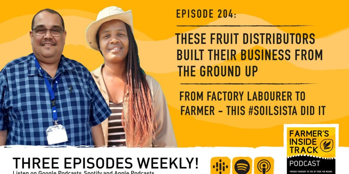 Podcast: Surviving the business side of things