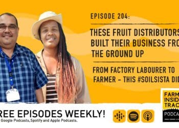 Podcast: Surviving the business side of things