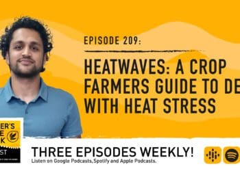 Podcast: Heat stress help for crop farmers 