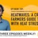 Podcast: Heat stress help for crop farmers