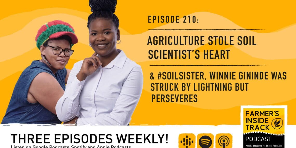 Podcast: Soil scientist smitten with agriculture