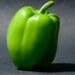 O-pepper yintandokazi emakhisini aseNingizimu Afrika. Yazi ngakho konke okuthinta lesi sitshalo. Isithombe: Sithunyelwe/Food for Mzansi