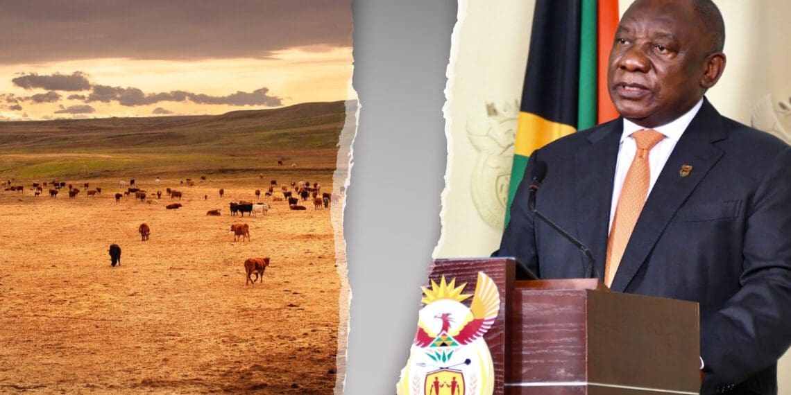 Ramaphosa's two ‘broken’ promises to farmers