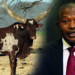 With deputy president David Mabuza stepping down any day from now, experts say he is likely to pursue his agricultural career further. Photo: Supplied/Food For Mzansi