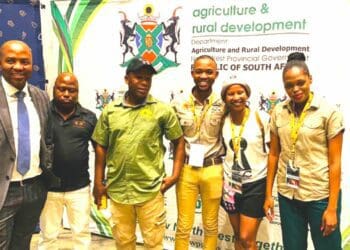Young farmers in the North West with members of the agricultural department at the first provincial agricultural market access summit. Photo: Supplied/ Thabo Dithakgwe