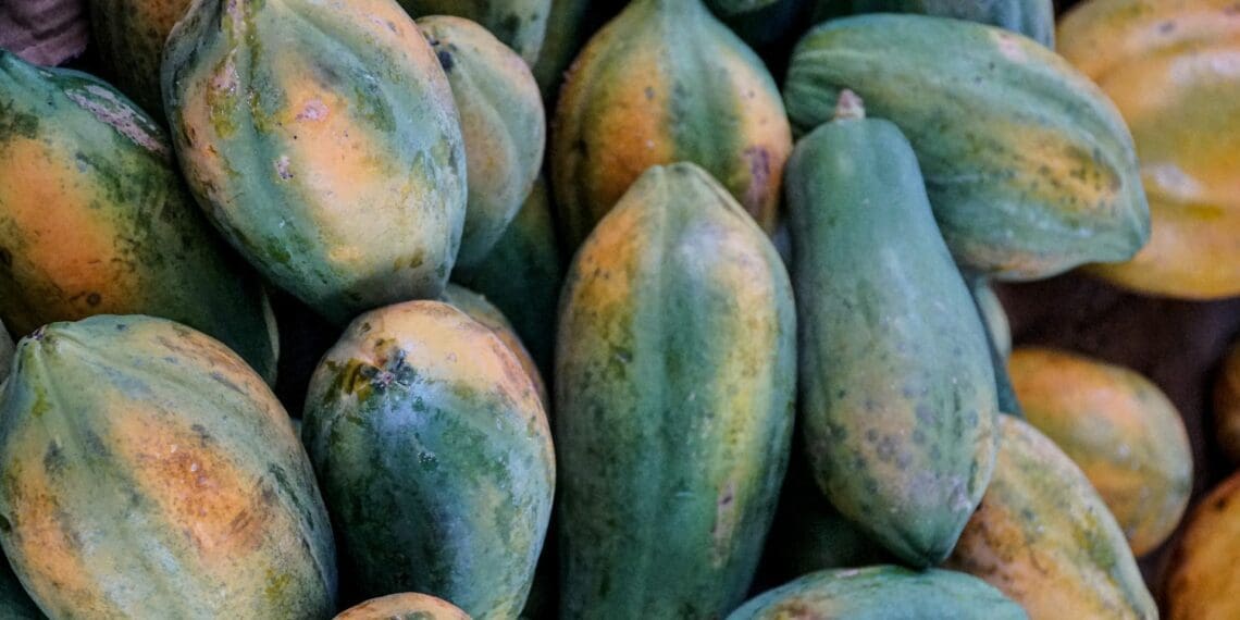 The papaya fruit originally gained its popularity in Mexico, however, the fruit flourishes in the South African market. Photo: Supplied/Food For Mzansi