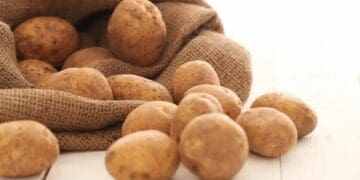 Sick spuds: No need to panic as SA’s potatoes are banned in Zim