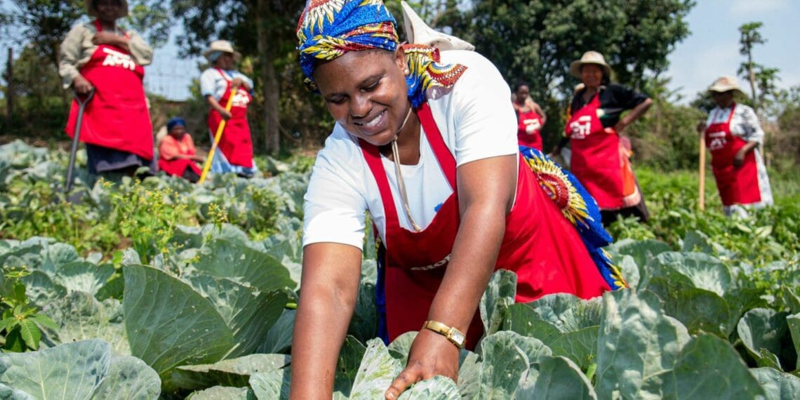 IN PICTURES: Siyaphambili Food Garden lifts community