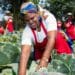 IN PICTURES: Siyaphambili Food Garden lifts community