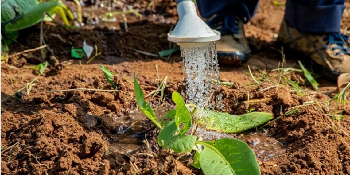 ‘Hey! What’s up with my farm soil?’ We find out ...