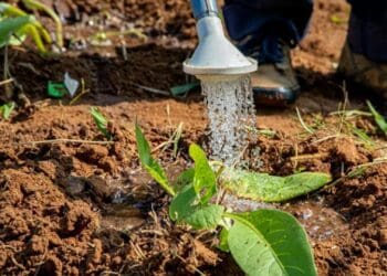 ‘Hey! What’s up with my farm soil?’ We find out ...