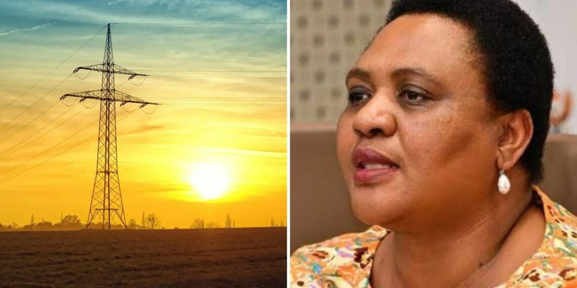 Farmers remain dubious of the load shedding task team being set up by Minister of Agriculture, Thoko Didiza. Photo: Supplied/FoodForMzansi
