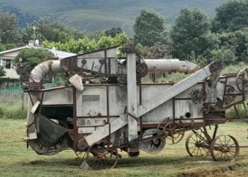This beauty is 90 years old. What is it? It's a 22inch x 38inch McCormick-Deering threshing machine. Photo: Supplied/The Drostdy Museum, Swellendam