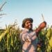 Young agripreneurs drive innovative agri solutions