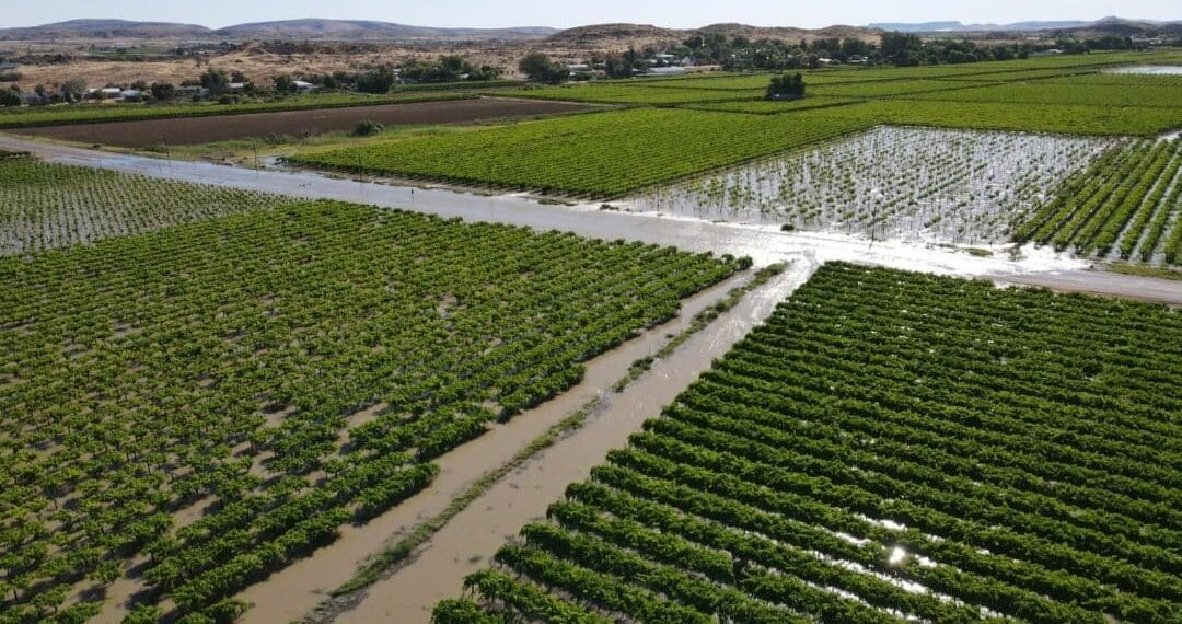 Flood damage: Farmers share tragic losses