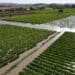 Flood damage: Farmers share tragic losses