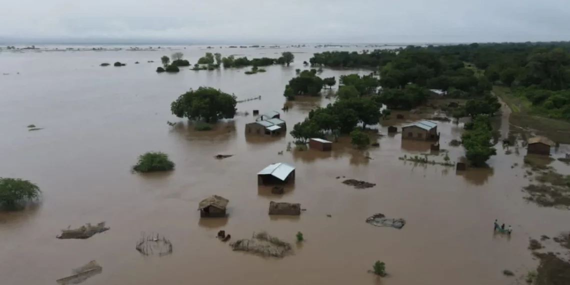 Cyclone Freddy flattens Malawi farmers' hopes