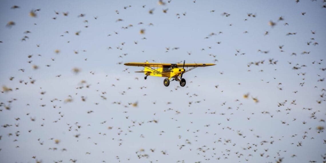ICYMI: New aircraft bolsters desert locust fight
