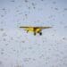 ICYMI: New aircraft bolsters desert locust fight
