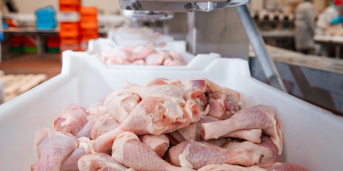 ICYMI: Bird flu threatens 2023 chicken imports