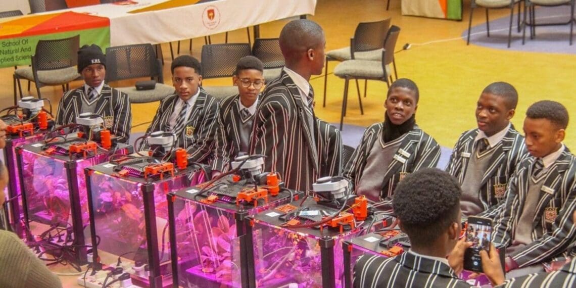 Hydroponics: Schools combat climate change