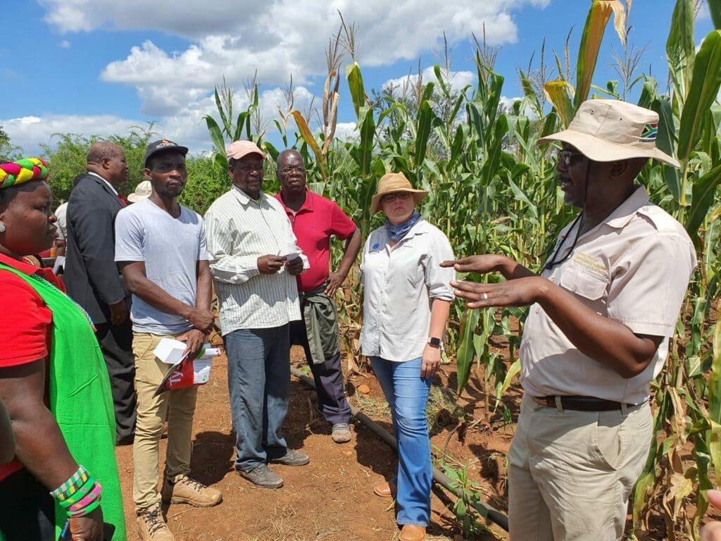 Smallholders listening attentively as they are introduced to biotech trait technology. Photo: Liza Bohlman
