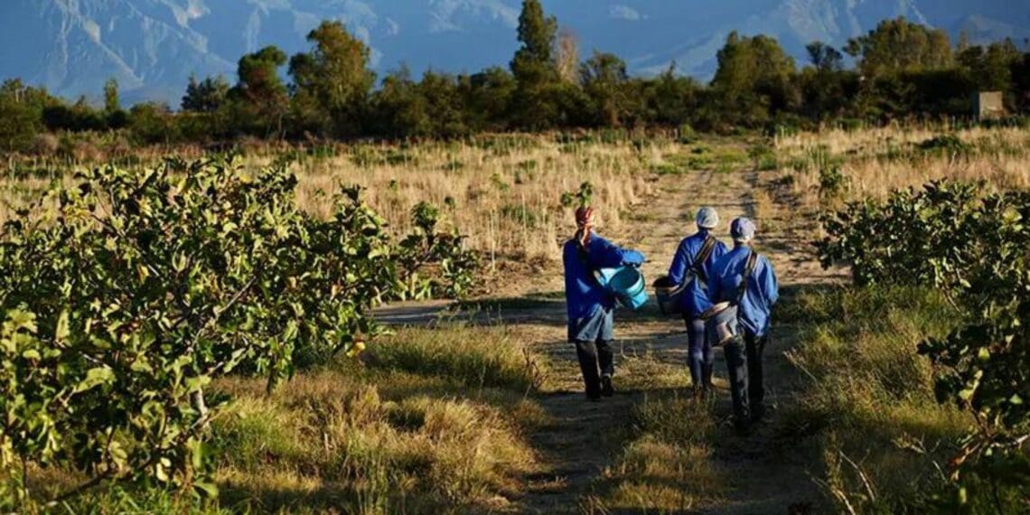 Agda strives towards an inclusive agri sector